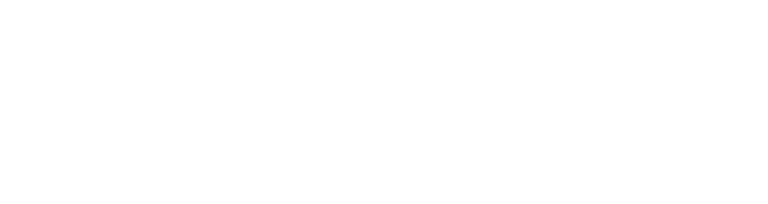 Prism Aviation